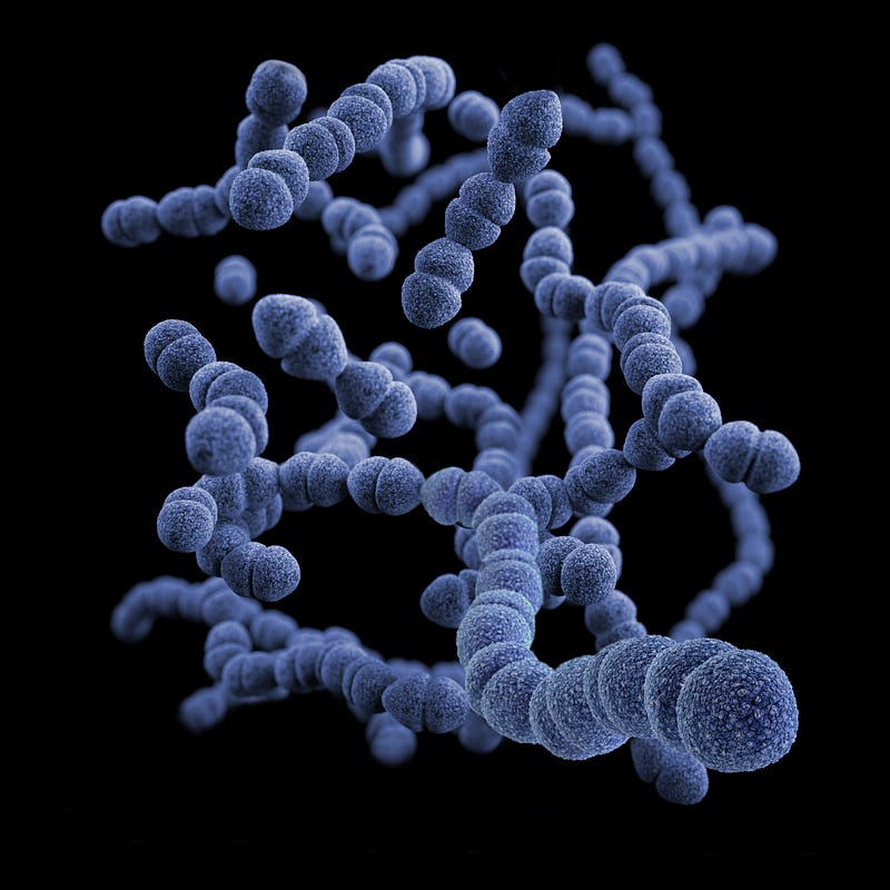 Gut Microbiome: Composition and Its Role in Health