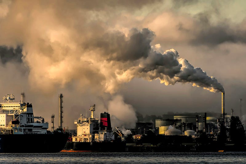 Being an Environmental Science Graduate Changed the Way I See the World