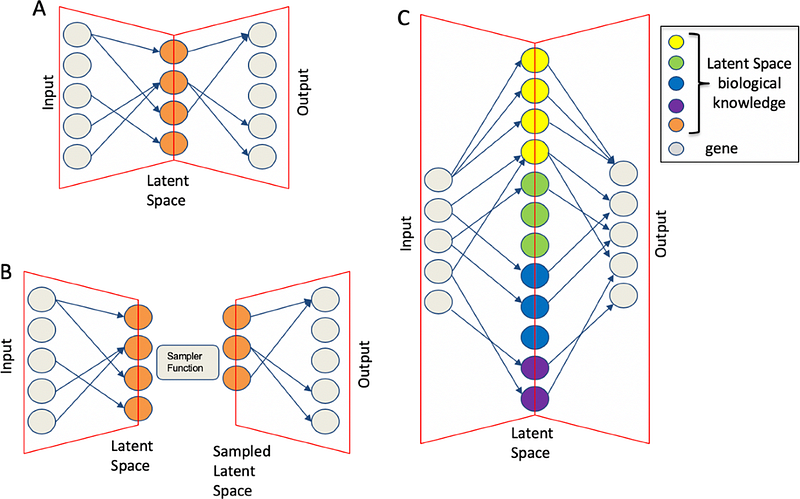 Building a Sparse Autoencoder on GPT-2 from Scratch: A Mechanistic Interpretability Investigation