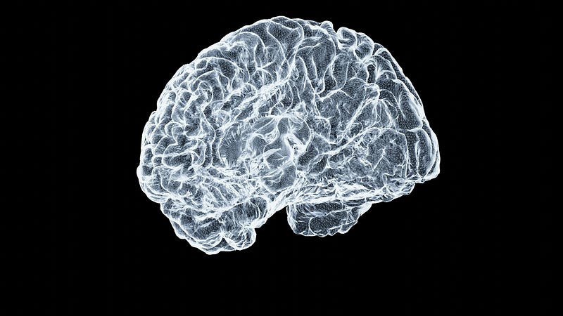 Is Your Reality Real? The Hidden, Startling Science of Human Perception