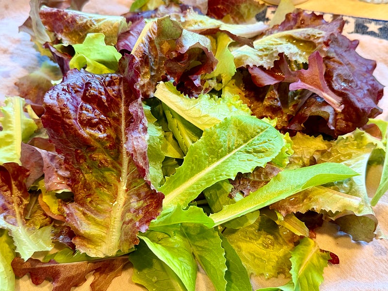Enjoying the First Crop of Lettuce-2026 Garden Update With Podcast Included