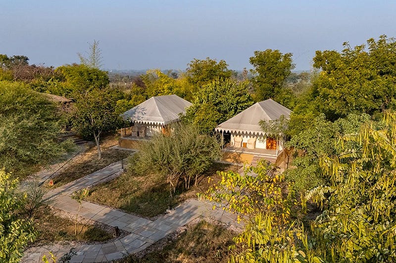 Best Resorts in Sariska: Where to Stay for a Great Wildlife Trip