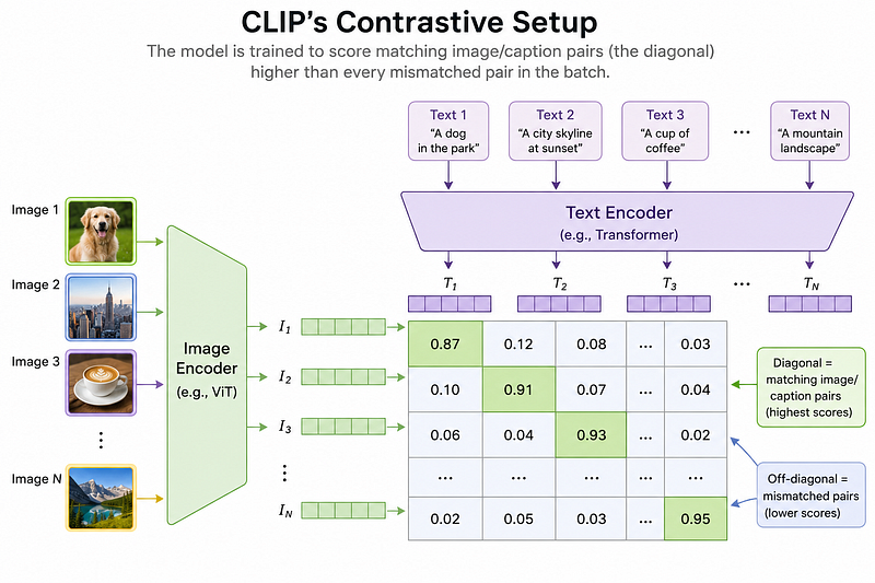 Implementing CLIP From Scratch: Teaching a Model to Match Pictures With Words