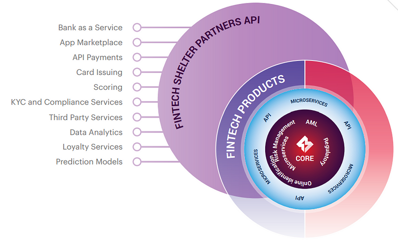 Card issuing. Data marketplace. Payment API. Plus7 Forsage platform data инновации компания. Services provided Bank.