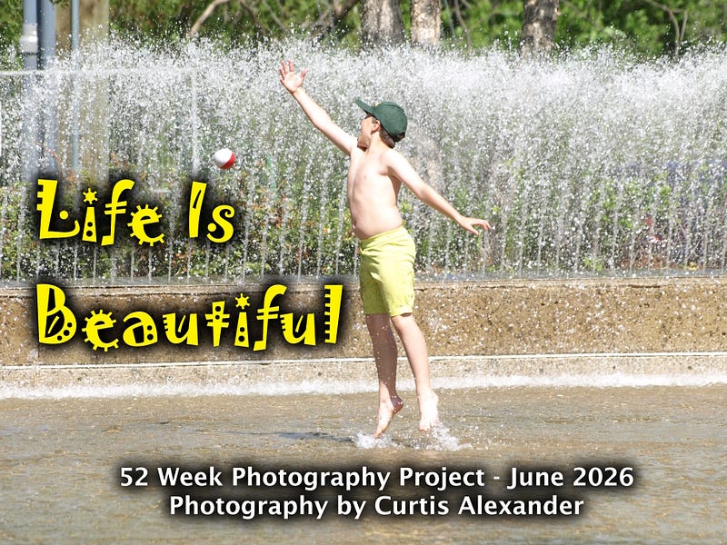 Life Is Beautiful — 52 Week Photography Project