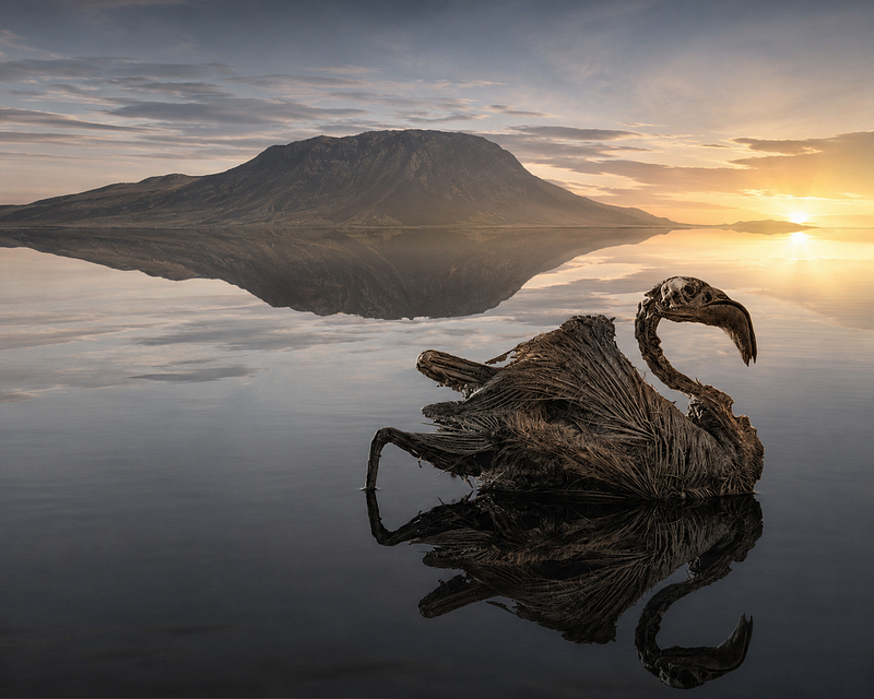 Lake Natron Tanzania: The Lake Where Millions Of Flamingos Begin Life Beneath A Volcano.