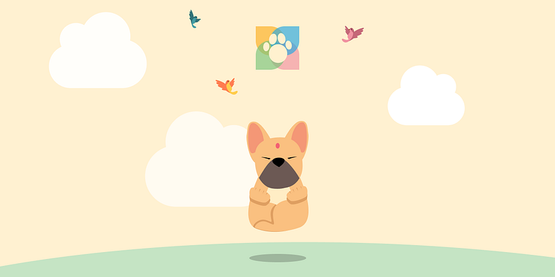Why I Started PetOS After Years of Managing My Dog’s Health Issues