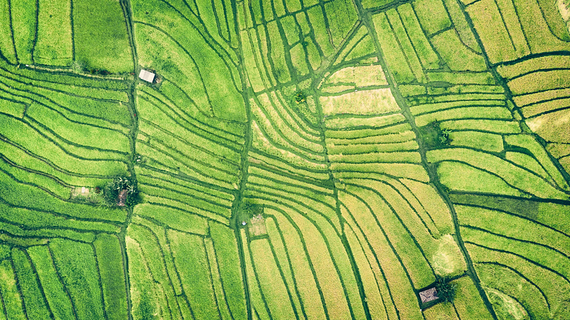 A Brief History of Agriculture