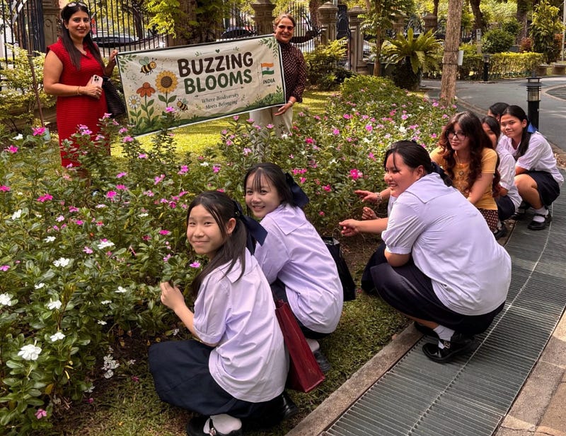 Mind in Bloom: Psychology Through Practice