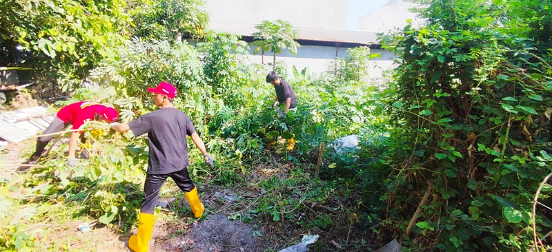 Penerapan Urban Farming sebagai Upaya Pemanfaatan Lahan Tidak Produktif oleh Mahasiswa KKN Untag…