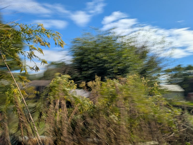 Blurred Vision For Photography