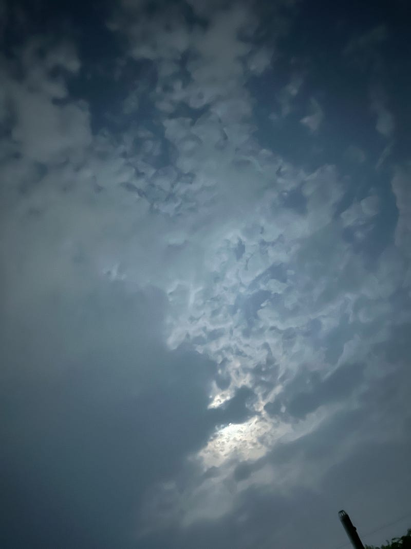 Why Solitude Can Heal the Mind: The Psychology Behind Finding Peace in Being Alone