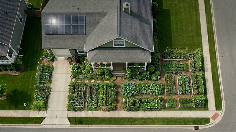 The Front Yard Trend That Makes Homes Look Better and Grow Fresh Food Too