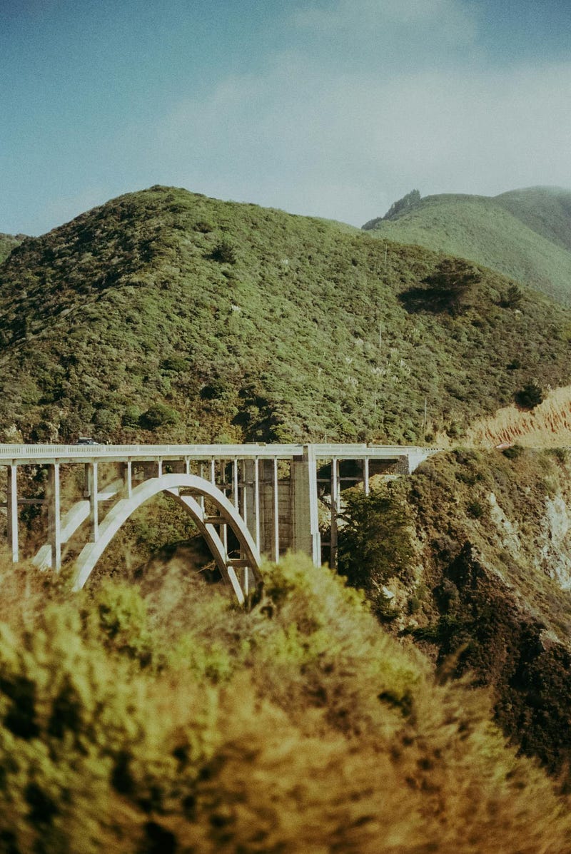 Nature Is Reconnecting: Could Green Bridges Help Wildlife Recover?